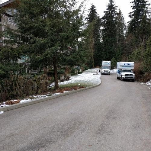 Moving trucks on snowy road near forested area.